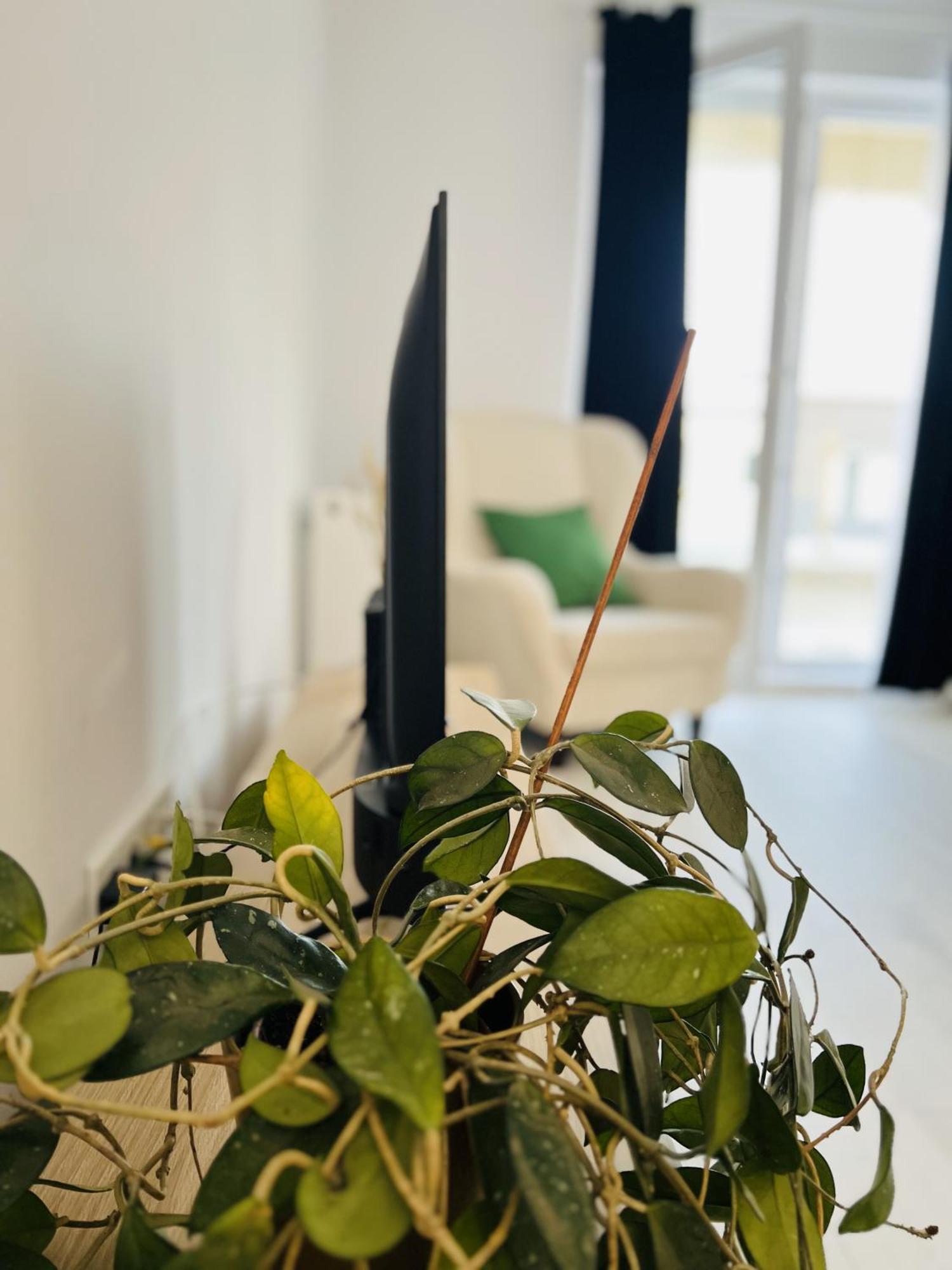 Airport Gardens Loft Appartamento *
